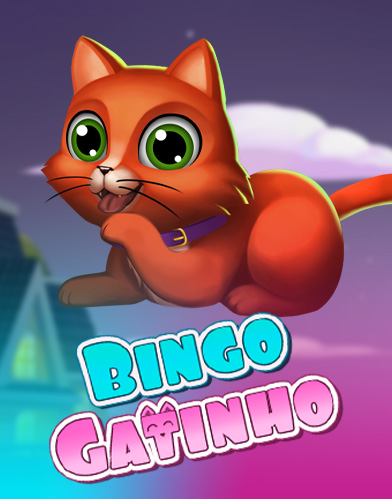 Bingo Gatinho