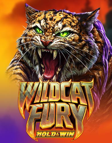 WILDCAT FURY - HOLD & WIN