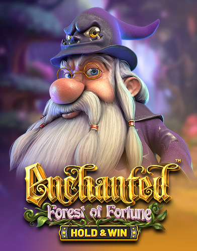 Enchanted: Forest of Fortune - Hold and Win