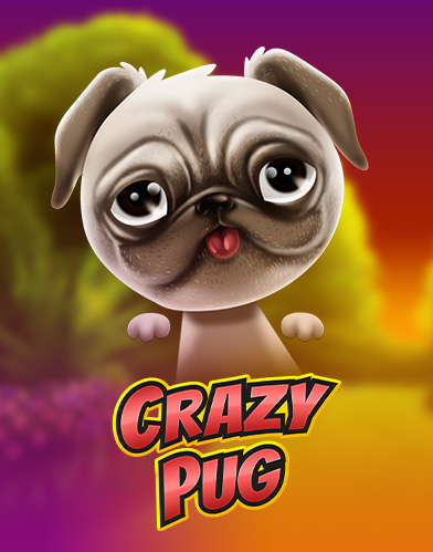 Crazy Pug