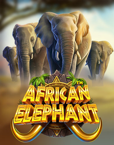 African Elephant