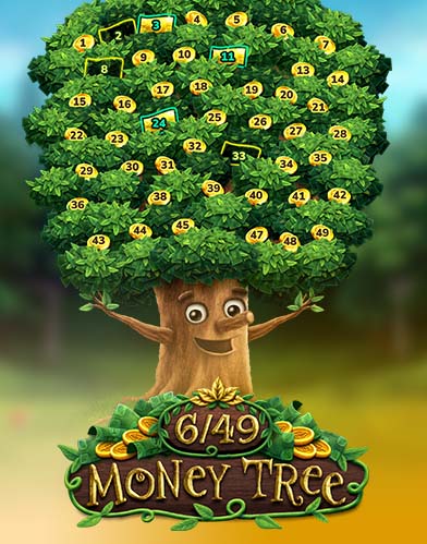 6/49 MONEY TREE