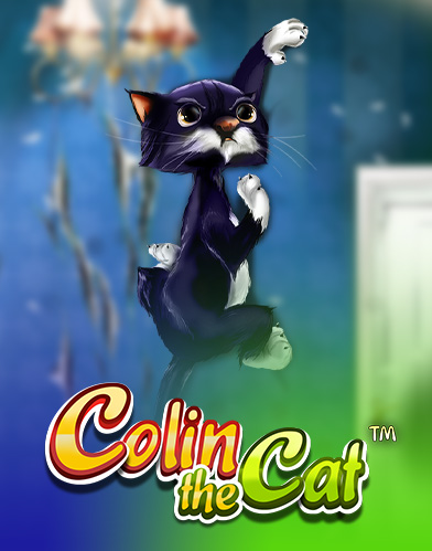 Colin The Cat