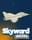 Skyward Deluxe