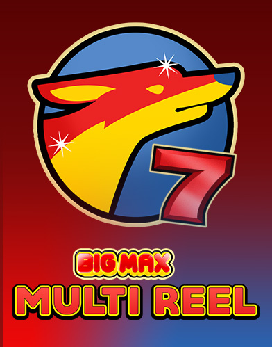Big Max Multi Reel