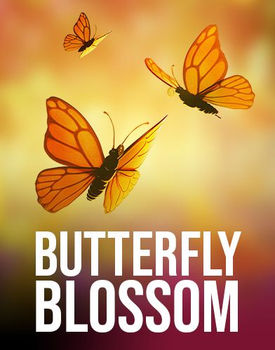 Butterfly Blossom